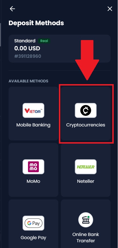 2026年如何在XM上存款：存款方式、費用和處理時間
